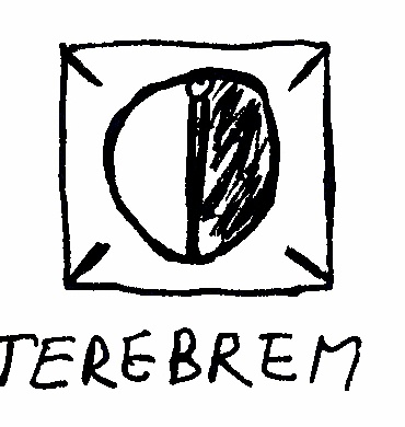 Terebrem.jpg