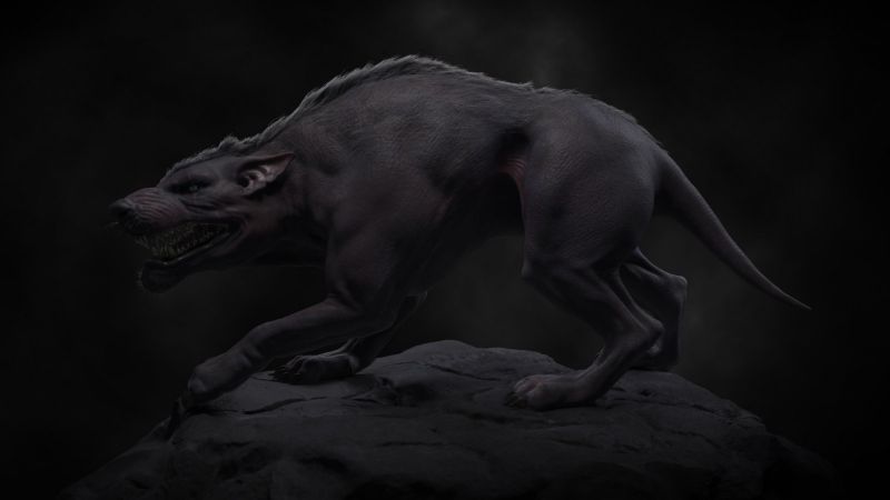Soubor:Wolfrat.jpg